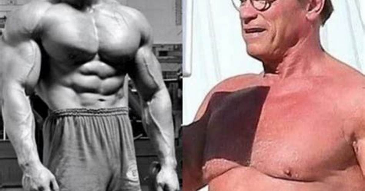 Arnold Schwarzenegger Now: the Evolution of a Hollywood Icon