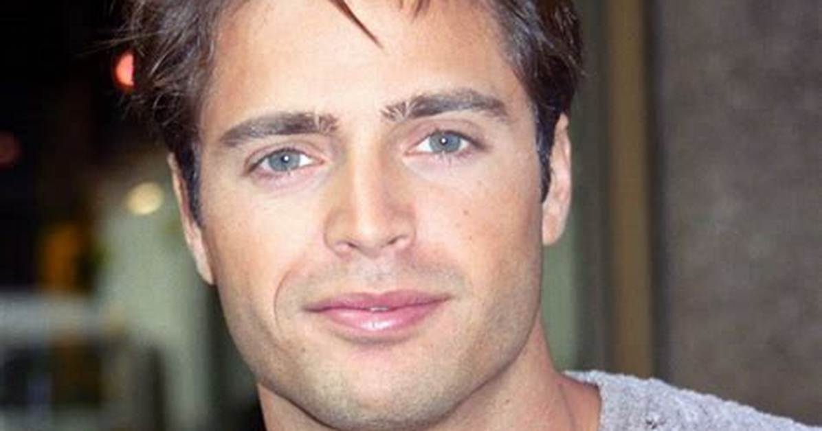 David Charvet: the Multifaceted Career of a French-American Star