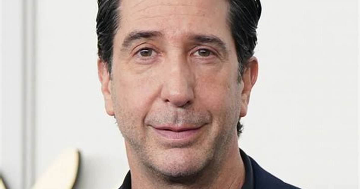 David Schwimmer: a Comprehensive Look at the Life and Career of Ross Geller