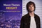 Discovering Mason Thames: Height, Career, and Rising Fame