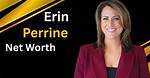 Erin Perrine Net Worth: a Comprehensive Overview