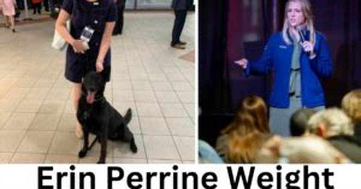 Erin Perrine Weight Loss: a Journey to Health and Fitness