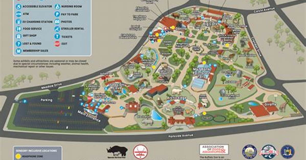 Exploring Buffalo Zoo: a Comprehensive Guide to One of America's Oldest Zoos