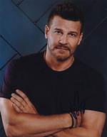 Exploring David Boreanaz's Ethnic Background: a Deep Dive into His Heritage