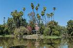 Exploring the Los Angeles Arboretum and Botanic Garden: a Hidden Gem of Nature