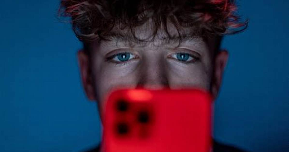 Fevooli: the Rise of a New Trend in the Digital Era