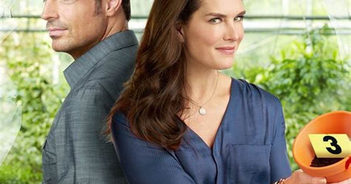 Hallmark Mysteries 2024: What to Expect from the Upcoming Season