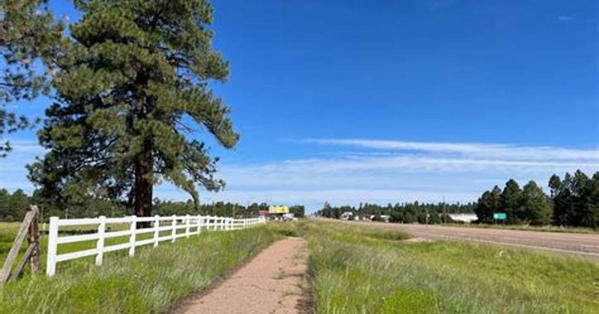 Heber Az: the Rise of a Social Media Influencer
