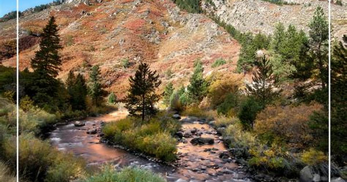 Highland Ranch, Co: a Comprehensive Guide to Living and Thriving in This Beautiful Community