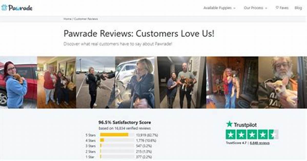 Is Pawrade Legit? Pawrade Feedback and Reviews