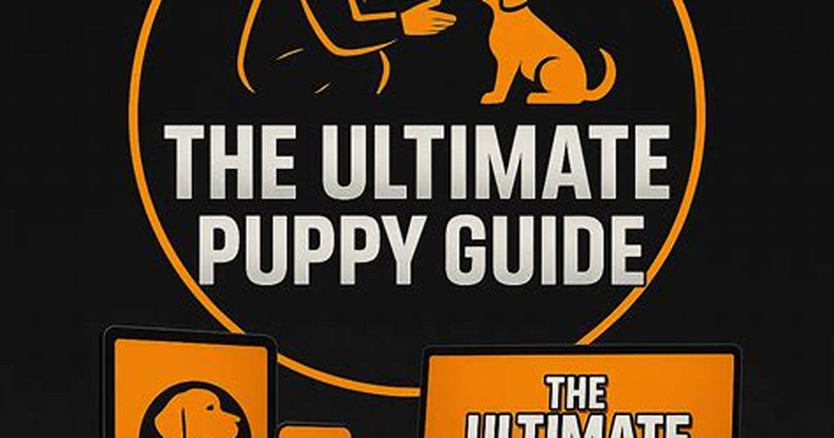 Jaide Slut Puppy: the Ultimate Guide to Understanding the Phenomenon