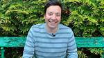 Jimmy Fallon Photos: a Glimpse into the Life of the Late-Night Host