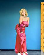 Marilyn Monroe's Best Friend: the Untold Story of Their Unique Bond