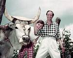 Mel Ferrer: Exploring the Life of a Hollywood Icon and His Spouse