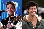 Shawn Mendes and Niall Horan: a Deep Dive into Their Musical Journey and Friendship