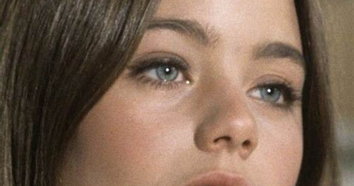 Susan Dey: a Comprehensive Look at Her Life and Career