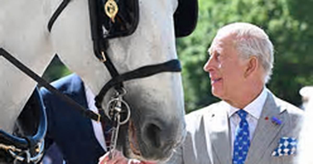The Majestic Legacy of King Charles' Horse at Royal Ascot: an Unforgettable Journey
