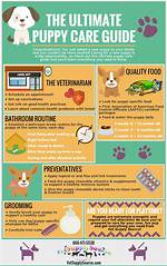 The Ultimate Guide to Dog Care: Everything You Need to Know