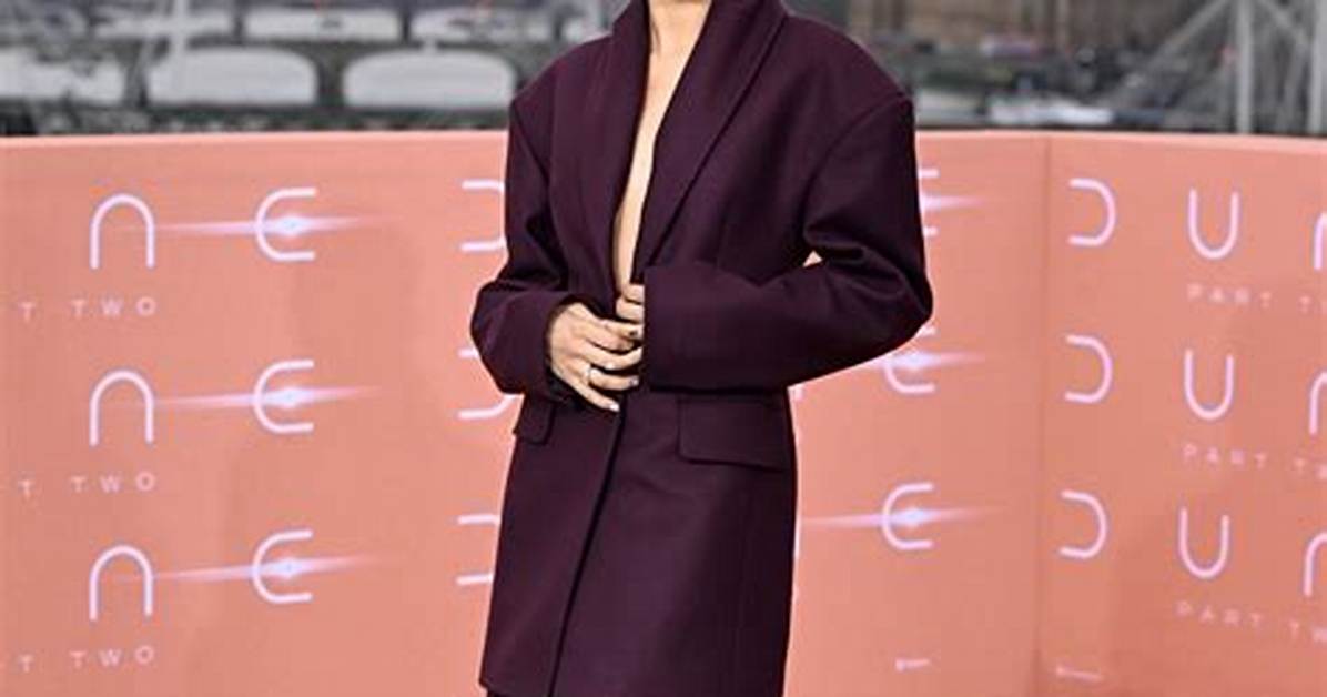 The Unforgettable Zendaya Dune Premier: a Spectacular Night