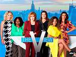 The View Cast: a Comprehensive Look at the Stars of Daytime Television