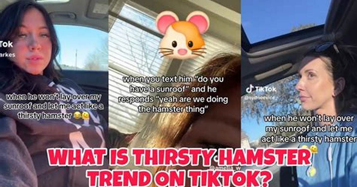 Thirsty Hamster Trend: Everything You Need to Know