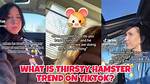 Thirsty Hamster Trend: Everything You Need to Know