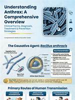 Understanding Hattel Alan: a Comprehensive Overview