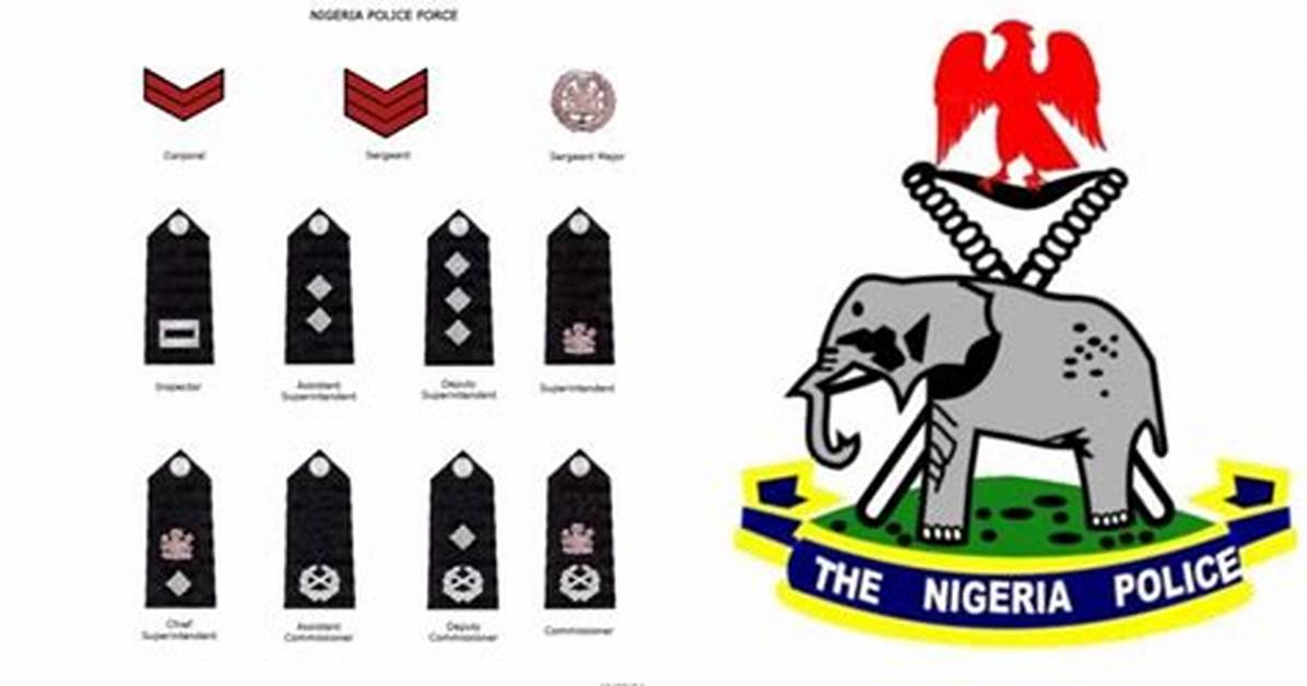 Understanding Police Ranks in Nigeria: a Comprehensive Guide