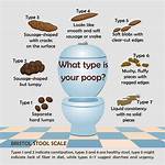 Understanding Pooping in Panties: Causes, Solutions, and Insights