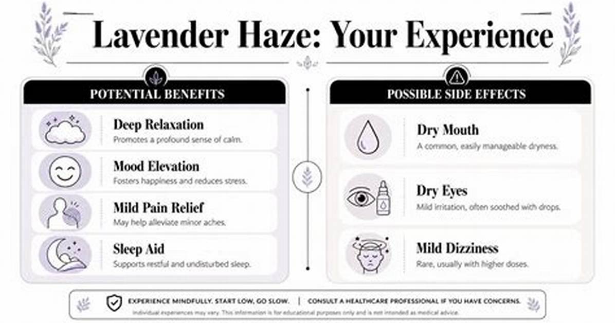 Understanding the Meaning of Lavender Haze: a Deep Dive