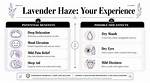 Understanding the Meaning of Lavender Haze: a Deep Dive