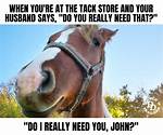 Understanding the Phenomenon of Horse Memes: a Deep Dive