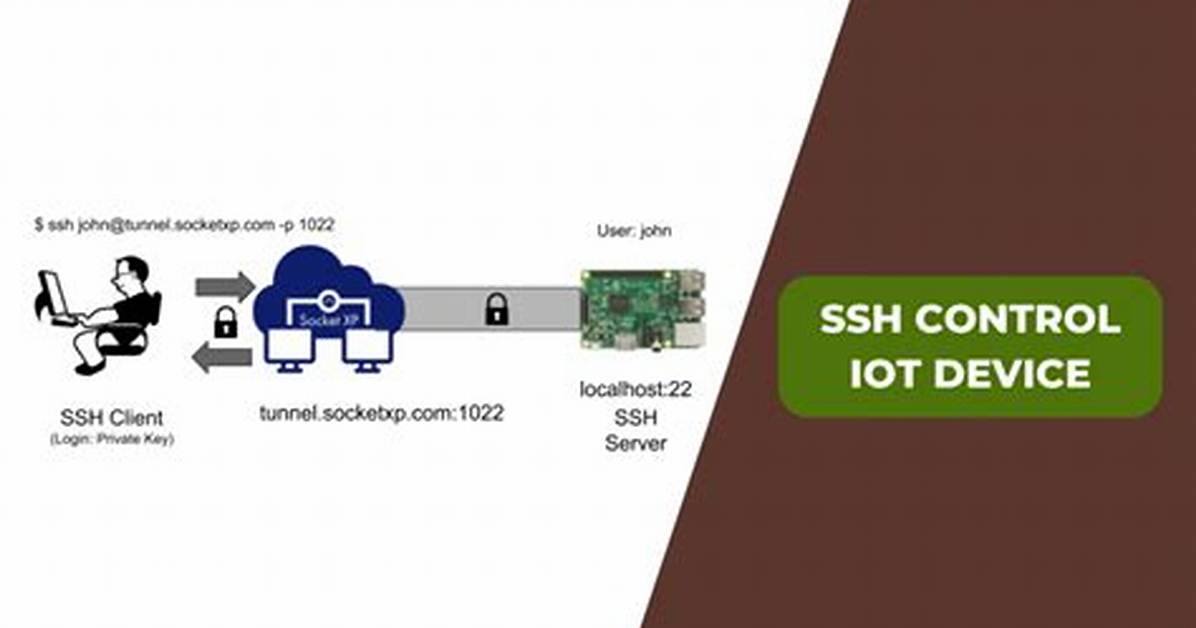 Unlocking the Potential of Ssh Remote Iot Device Raspberry Pi Free