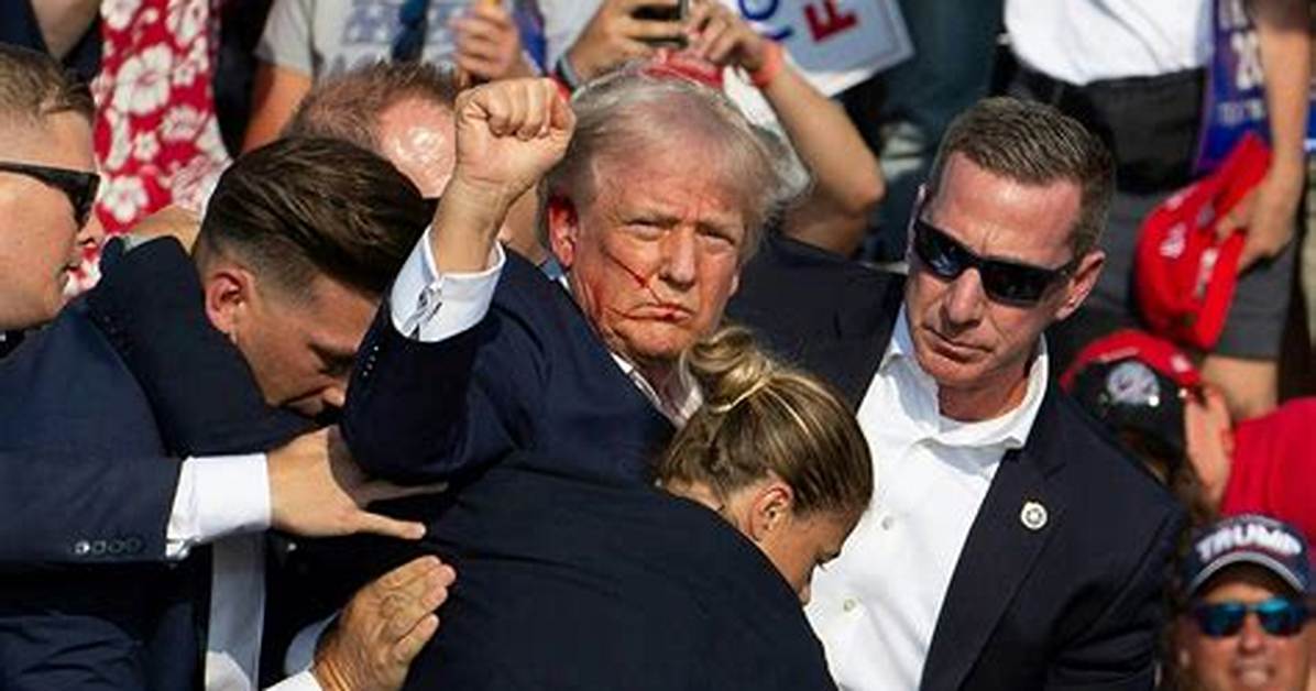 Unveiling the Impact of "Trump. Injury": a Comprehensive Exploration