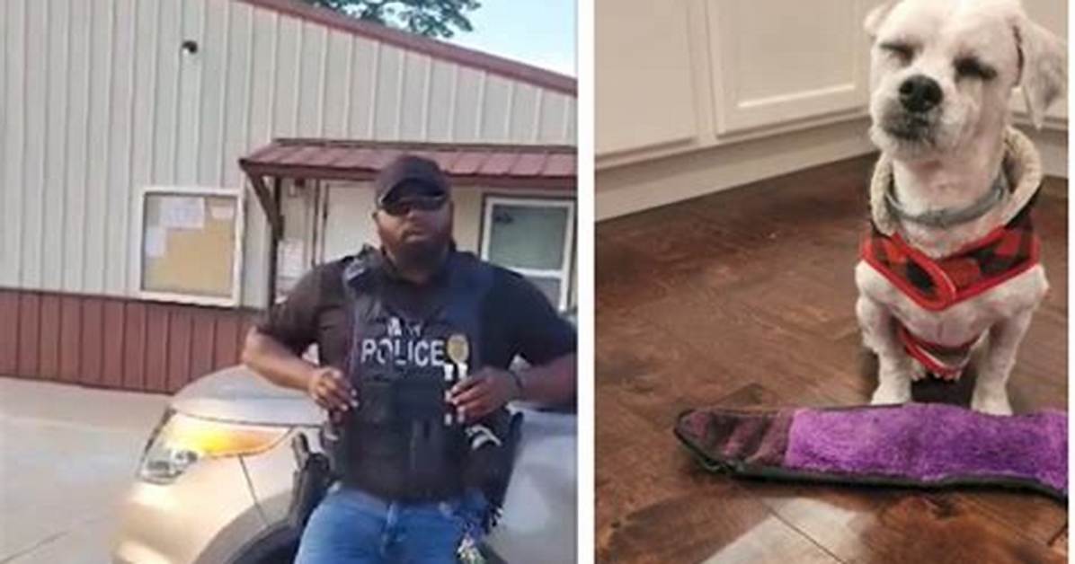 Unveiling the Truth About Myron Woodson Dog: a Comprehensive Guide