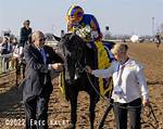 Unveiling the World of Fillies Horse: a Comprehensive Guide