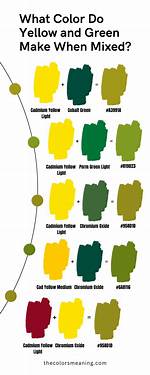 What Do I Need for a Yellow Belly Turtle?