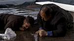 Who Plays Aj Soprano? Exploring the Character and the Actor Behind the Role