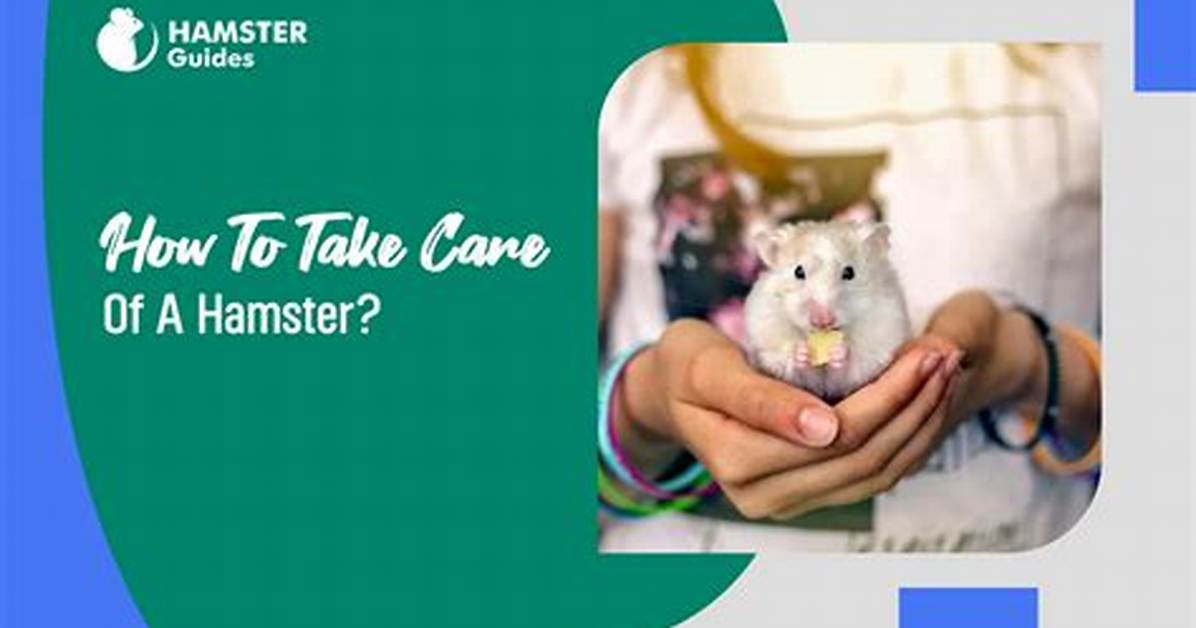 X Hamster: a Comprehensive Guide to Care, Types, and Lifespan